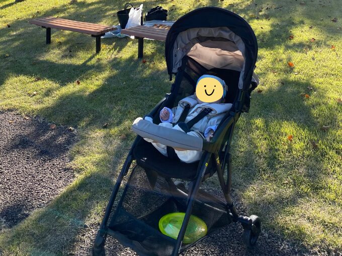 ビングルBB４　7ヶ月