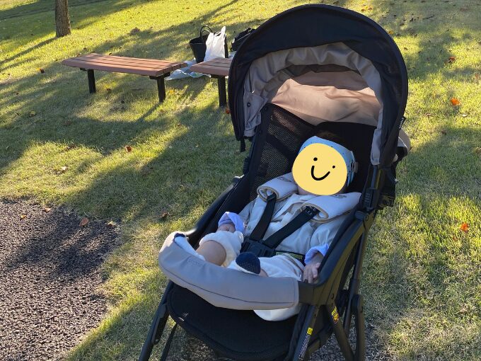 7ヶ月頃　ビングル