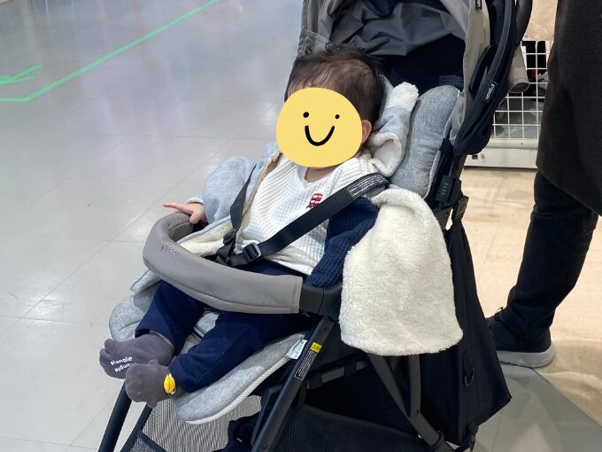 8ヶ月ごろ　ビングル